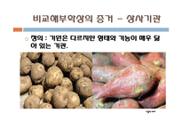 다윈 혁명 레포트-9