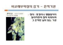 다윈 혁명 레포트-10