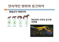 다윈 혁명 레포트-11