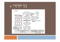 다윈 혁명 레포트-12