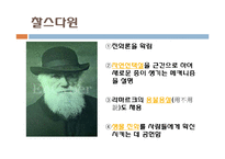 다윈 혁명 레포트-15