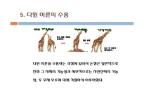 다윈 혁명 레포트-19