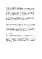 [피임 방법] 피임법의 조건과 종류-9