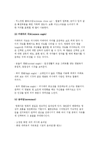 영화 언어) 영화를 이루는 요소와 대사의 역할-8