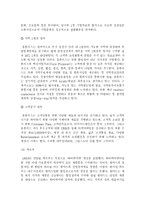 [마케팅관리]이마트 전략분석-11