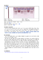 DNA 절단 전기 영동 확인 실험-2