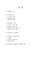 소셜 커머스 시장-2