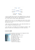 [서비스경영론] 세스코 사례-8