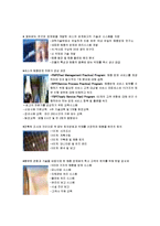 [서비스경영론] 세스코 사례-9