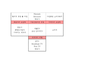 [전략정보시스템] 구글 Google TV(스마트tv)-13