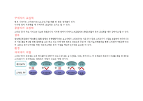 [전략정보시스템] 구글 Google TV(스마트tv)-18