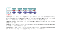 [전략정보시스템] 구글 Google TV(스마트tv)-19