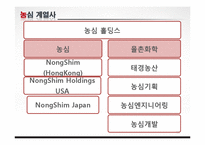 농심 경영전략 레포트-11