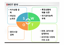 농심 경영전략 레포트-18