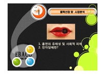 [다국적 기업 전략론] 전자 담배 해외 시장 진출-4