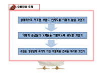 [소비자행동] 오븐에 빠진 닭 분석 및 전략-16
