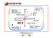 [소비자행동] 오븐에 빠진 닭 분석 및 전략-18