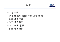 [경영조직론] 에스엘(SL) 조직 분석-2
