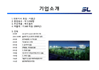 [경영조직론] 에스엘(SL) 조직 분석-3