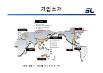 [경영조직론] 에스엘(SL) 조직 분석-5