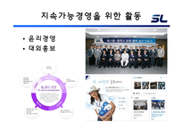 [경영조직론] 에스엘(SL) 조직 분석-11