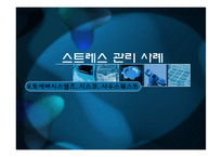 [조직행동론] 스트레스 관리 사례 -오토에버시스템즈, 시스코, 사우스웨스트-1