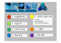 [조직행동론] 스트레스 관리 사례 -오토에버시스템즈, 시스코, 사우스웨스트-2