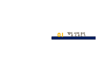 NC소프트의 마케팅, 다각화전략, 해외시장진출-3