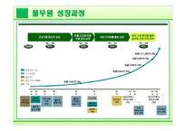 풀무원 마케팅전략-4
