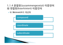 [독일어교과교육론] 외국어 습득이론 1장-12