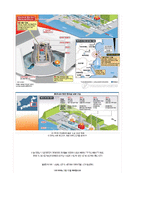 일본대지진이 한국 소비자에 미치는 영향-5