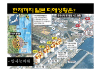 일본대지진이 한국 소비자에 미치는 영향-4