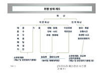 재난과 국가 그리고 피해자-11