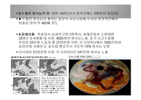 재난과 국가 그리고 피해자-13