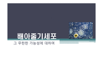 배아줄기세포 그 무한한 가능성에 대하여-1