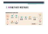 배아줄기세포 그 무한한 가능성에 대하여-7