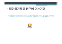 배아줄기세포 그 무한한 가능성에 대하여-11