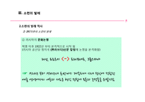 [서양현대사] 소련의 클래식-17