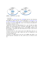 스포츠 시설행정-7