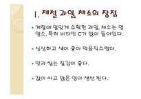 [식품영양] 제철 과일, 채소의 효능-4