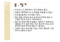 [식품영양] 제철 과일, 채소의 효능-9