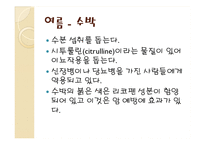 [식품영양] 제철 과일, 채소의 효능-14