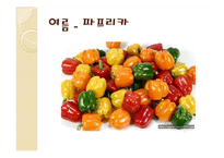 [식품영양] 제철 과일, 채소의 효능-15
