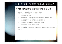 반값등록금 논란의 발생 배경(등록금 인상 현황과 요인 분석) 및 정책 주요 내용, 반값등록금의 문제점 분석-13
