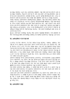 [교육정책]교육정책의 특징,변천, 교육정책의 현실,실패, 교육정책의 기본방향,지식기반사회, 교육정책의 쟁점, 교육정책의 과제 분석-11