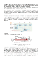 최신 기초전자물리학실험1(기물1) 13장 예비 보고서-3
