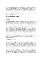 [웹캐스팅][인터넷방송]웹캐스팅(인터넷방송)정의,종류, 웹캐스팅(인터넷방송)특성,방식, 웹캐스팅(인터넷방송)법제,효과,쟁점,제언-10