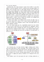 [경영조직론] 도레이첨단소재 M&A 성공요인, 조직구조와 CEO의 리더십 및 경영철학 분석-12