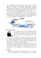[경영조직론] 도레이첨단소재 M&A 성공요인, 조직구조와 CEO의 리더십 및 경영철학 분석-19