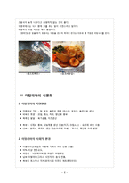[외식산업론] 영국, 이탈리아, 인도, 캐나다, 터키, 프랑스, 호주 지역 식문화-8